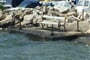 vodice2