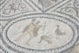 volubilis-10